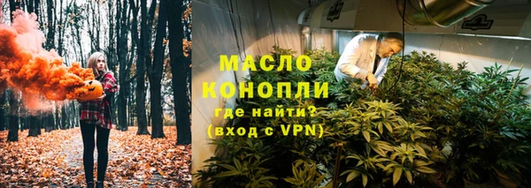 индика Бородино